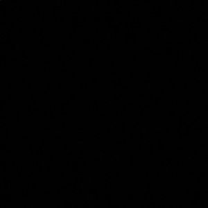 Meet your Posher, Gavin